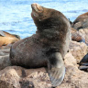 Meet your Posher, Jill